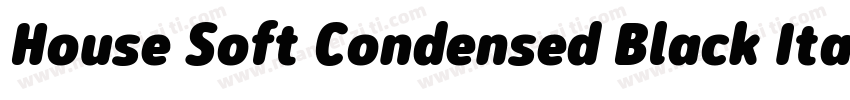 House Soft Condensed Black Italic字体转换